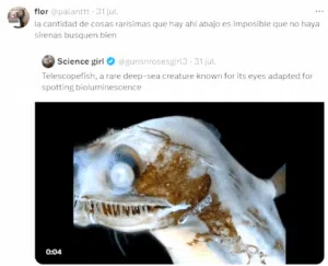 O peixe das profundezas que causou sensação nas redes. Foto: Captura de tela.