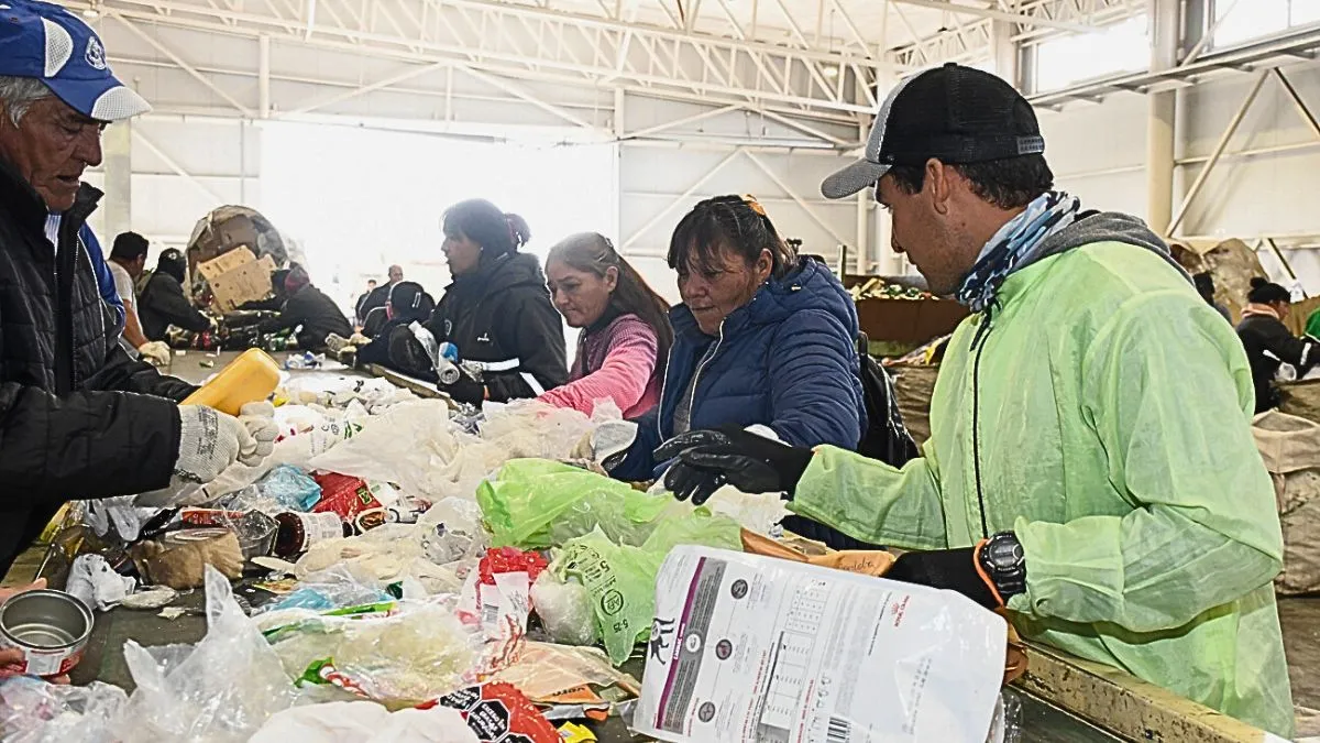 recicladores