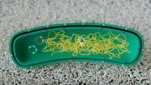 reprogramar bacterias