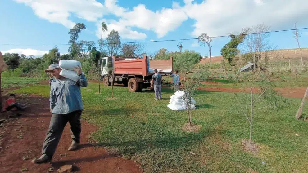 Misiones trabaja para restaurar la selva. Foto: El Territorio/ Carina Martínez.