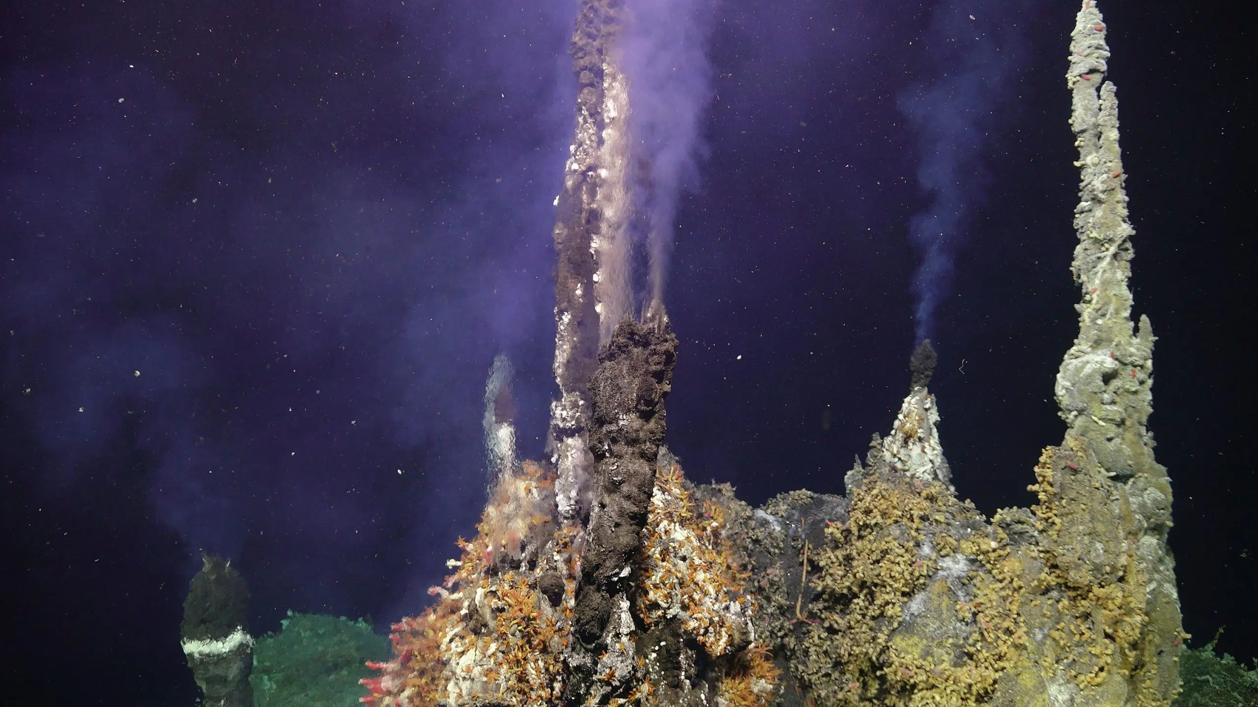 Volcán submarino Axial Seamount podría hacer erupción en 2025: Esta son los  posibles riesgos para a México, image size:2560x1438