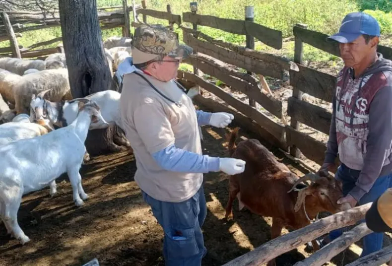 Operativo de zoonosis en Chaco. Foto: Diario Norte.