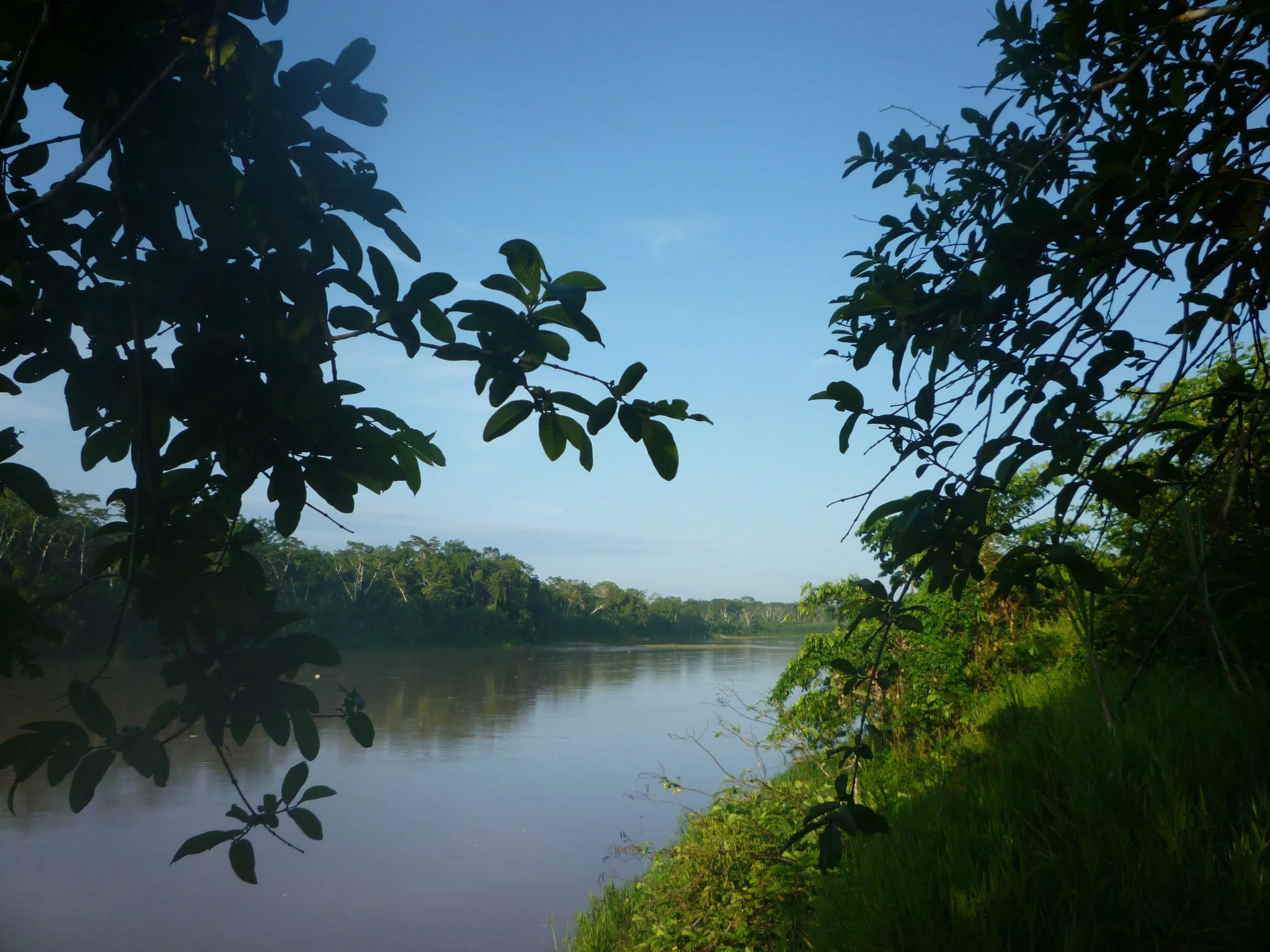 La deforestación en la Amazonía peruana. (Foto: Wikipedia).