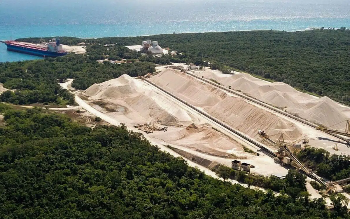 Mayan Jungle