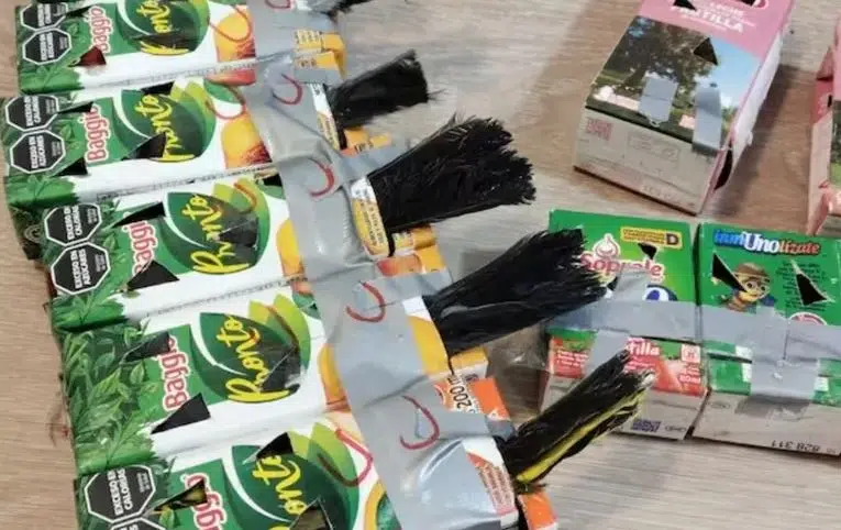 A tentativa de tráfico de aves terminou com vários animais mortos. (Foto: Sitio Andino).