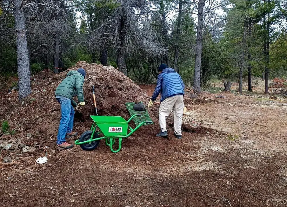 bosques nativos