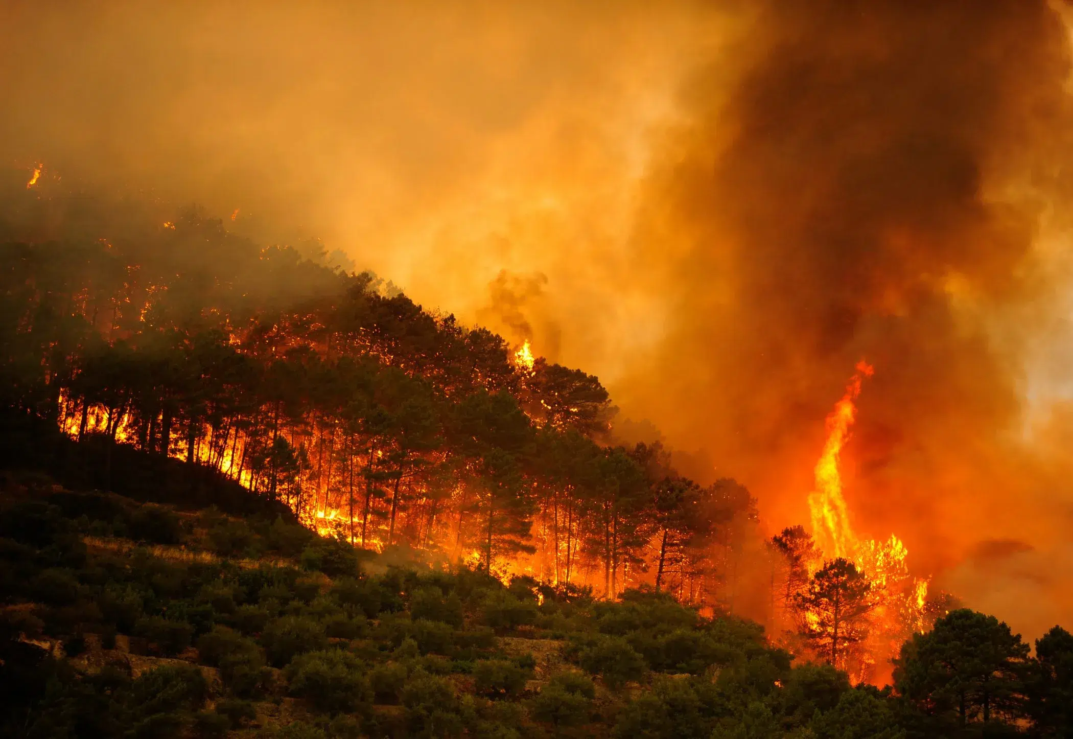 cumbre climática