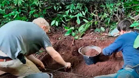 The prehistoric discovery in Iguazú National Park. (Photo: Perfil).