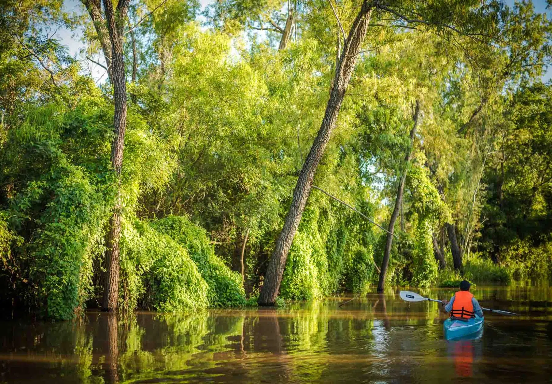 Die Regierung von Santa Fe will das artenreichste Feuchtgebiet des Paraná-Beckens schützen. Foto: La Ruta Natural.