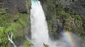 Parque Neltume, en Los Ríos, Chile. Foto: Tripadvisor.