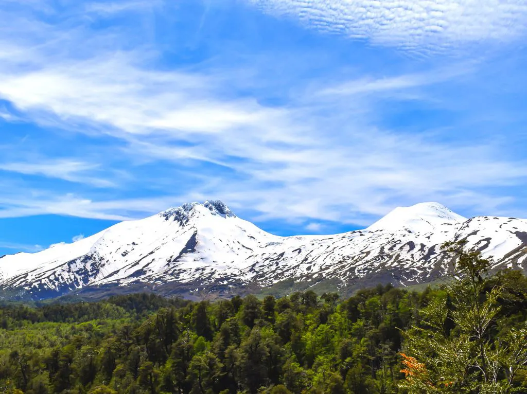 Reserva Nacional Mocho Choshuenco, en Los Ríos, Chile. Foto: Informa al mundo. 
