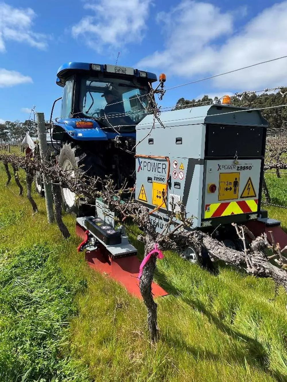 Electrical weed control as an ecological alternative. Photo: elPeriódico.