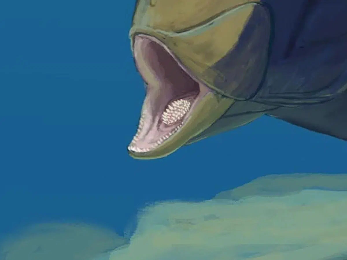 fossil fish