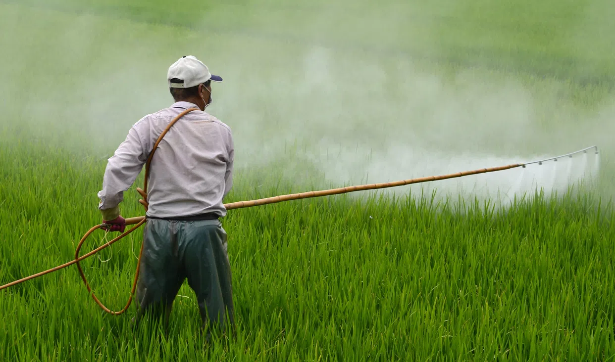 toxic pesticides