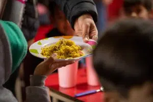 plato de comida