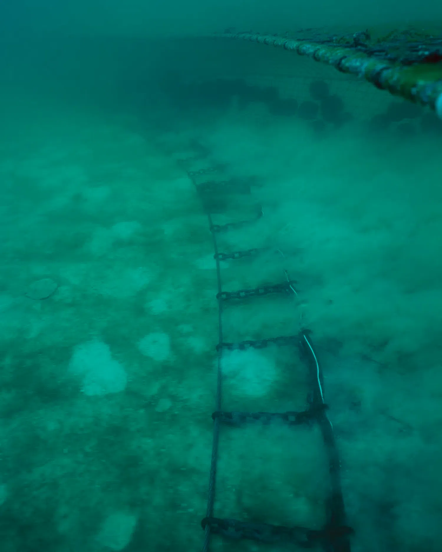 O que é a pesca de arrastre. (Foto: imprensa Sin Azul no hay Verde).