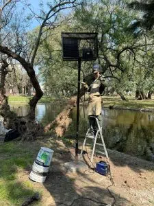 Santa Fe seeks to enhance its green spaces through the use of solar panels. Photo: Municipality of Santa Fe.
