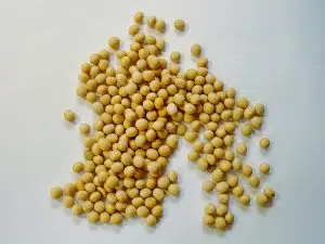 The multiple benefits of soy protein. Photo: Unsplash.
