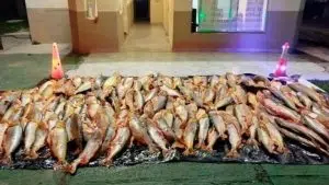 tráfico ilegal de pesca en Entre Ríos