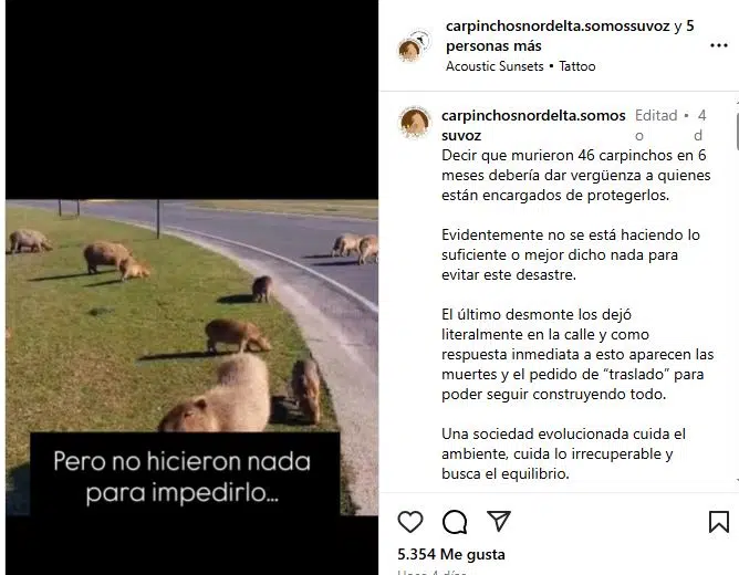 A publicação nas redes para reivindicar. (Foto: Instagram- @carpinchosnordelta.somossuvoz).