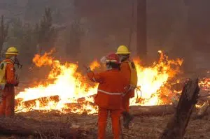Wildfires: a new study revealed a dramatic acceleration in the last 10 years, with more frequent and costly events