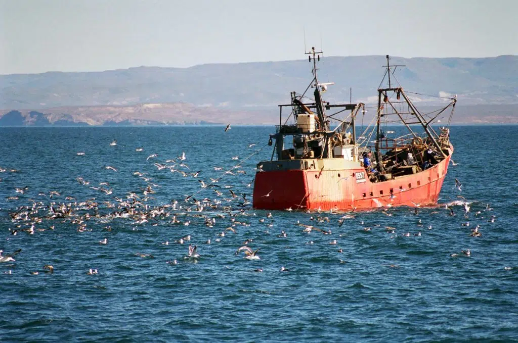 Argentina, contra a pesca ilegal: ratificou um acordo mundial contra subsídios à atividade destrutiva
