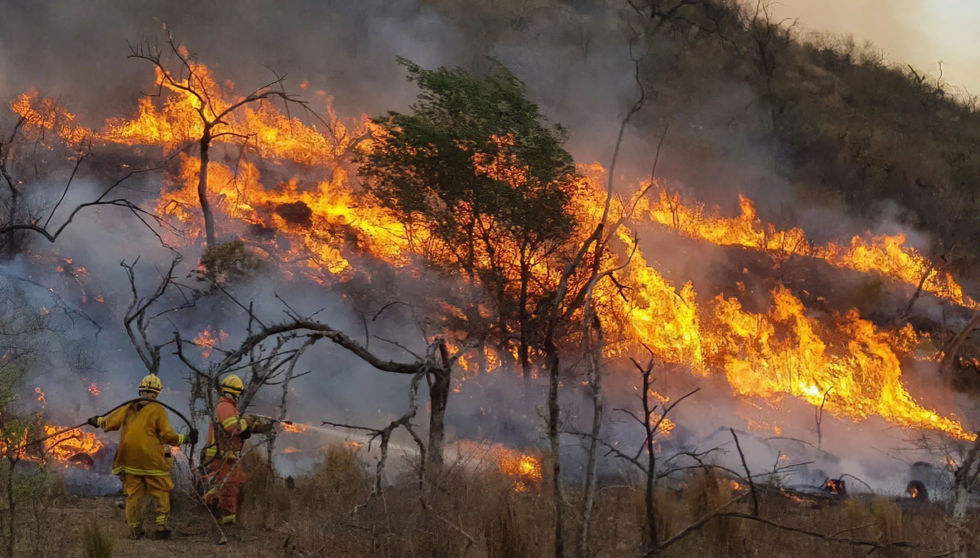 wildfires