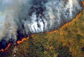 Brigadistas indígenas combinam saberes ancestrais e tecnologia para lutar contra o fogo na Amazônia. Foto: Naturaleza con Derechos. 