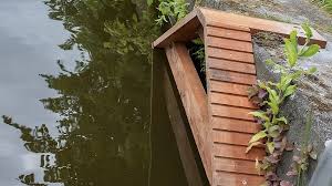 Amsterdam will install hundreds of cat stairs to prevent them from drowning in its canals. Photo: Euronews.