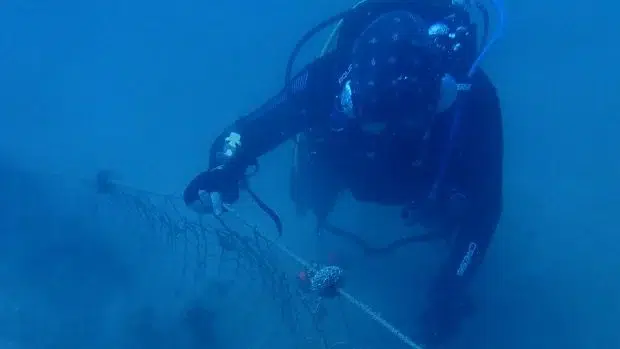 Uma empresa espanhola retirou a maior rede fantasma do fundo marinho mediterrâneo. Foto: OkDiario.