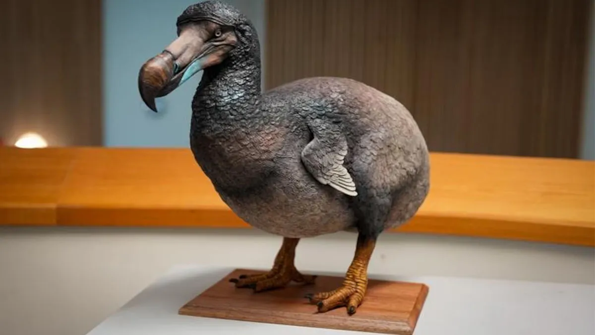 Científicos buscan resucitar un ave extinta hace más de 300 años: el dodo. Foto: A24.