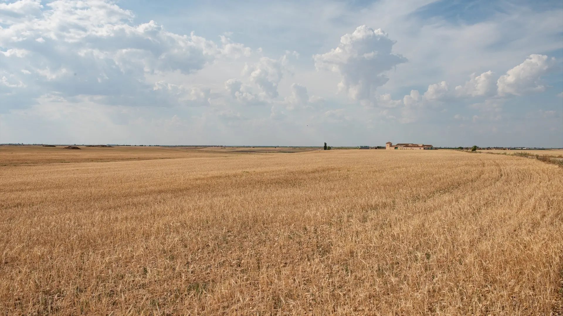 extreme droughts
