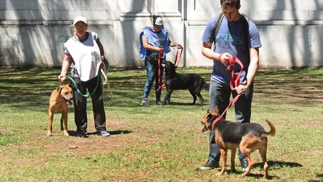 罗萨里奥寻求成为无狩猎武器的城市。照片：La Capital。
