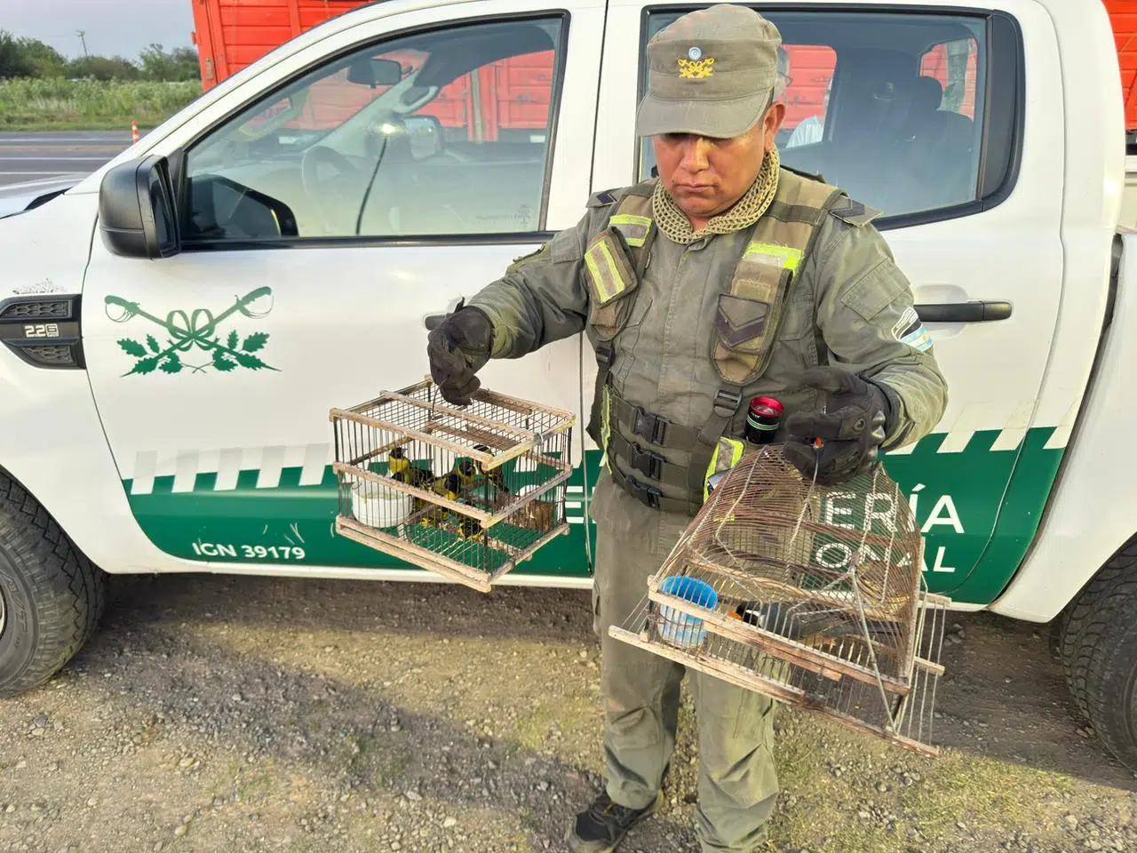 tráfico ilegal