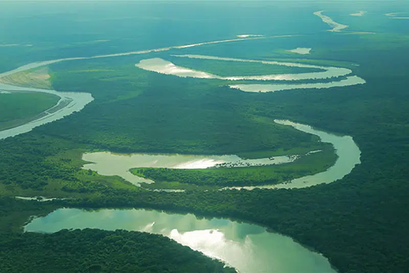 El Impenetrable, In Chaco. Source - Instituto de Turismo del Chaco.