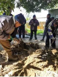 El INTA impulsa a los biofertilizantes como una alternativa sustentable que transforma la agricultura local en Jujuy. Foto: El Tribuno.