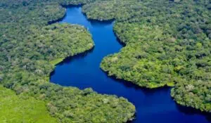 Europe and international organizations launch a key fund to rescue the Congo Basin rainforest before 2030. Photo: CIFOR-ICRAF Forest News.