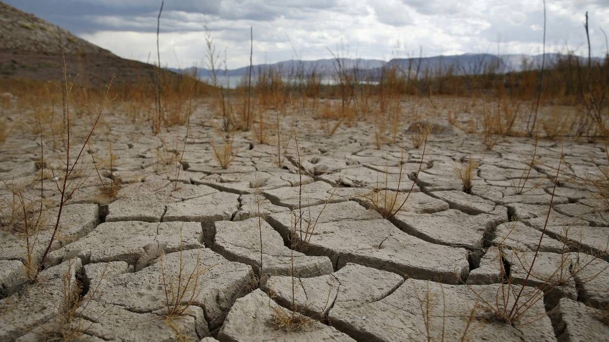 degradación de la tierra