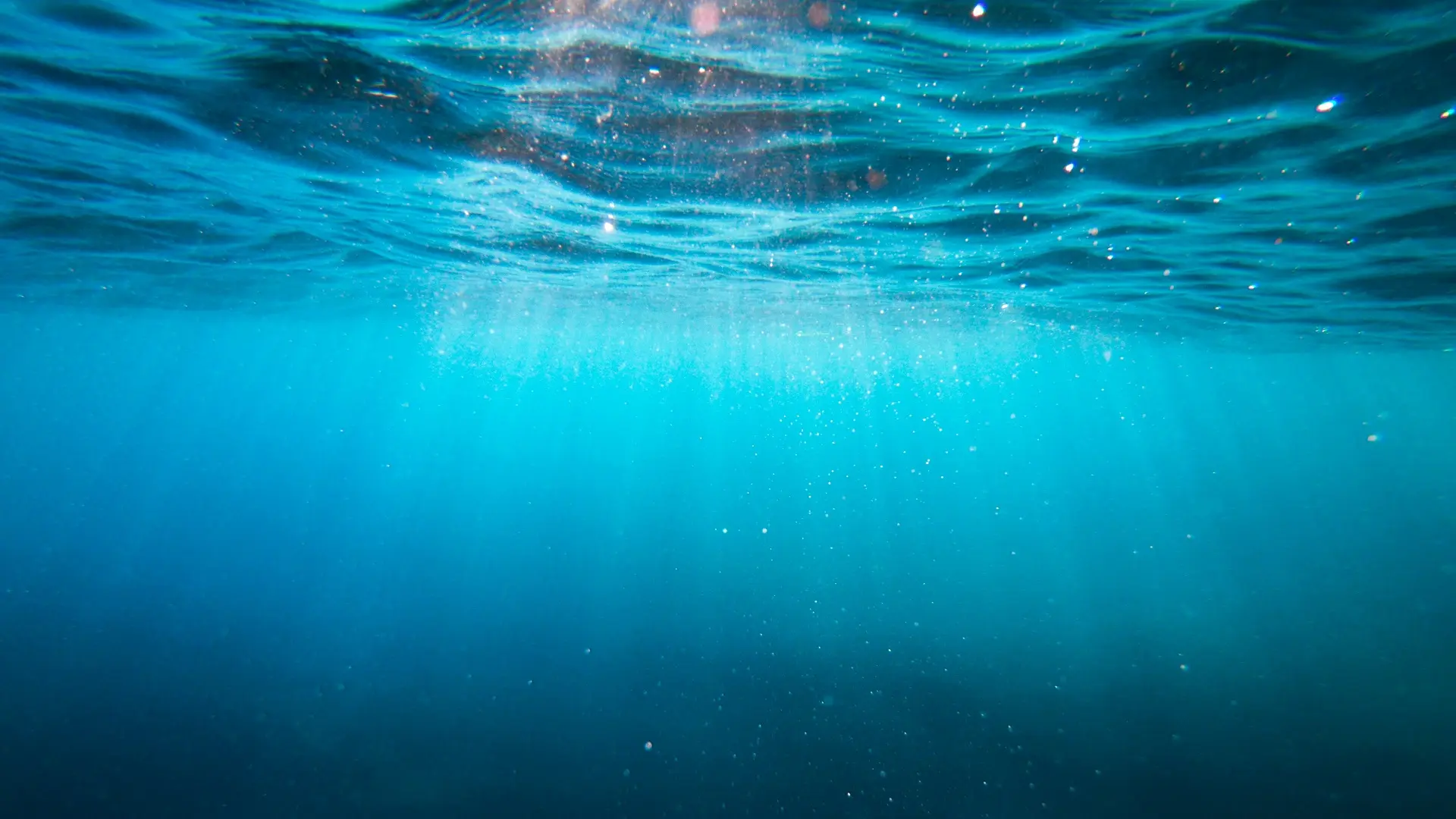 Cientistas projetam o primeiro reator que converte CO₂ do oceano em plásticos biodegradáveis