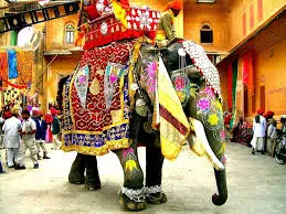The suffering hidden behind elephant tourism in India. Photo: Sociedad Geográfica de las Indias.  