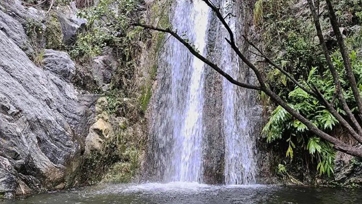 Casa Bamba