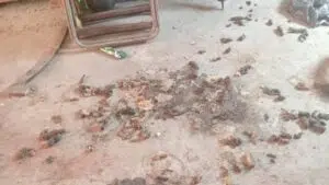 Condições deploráveis de habitat