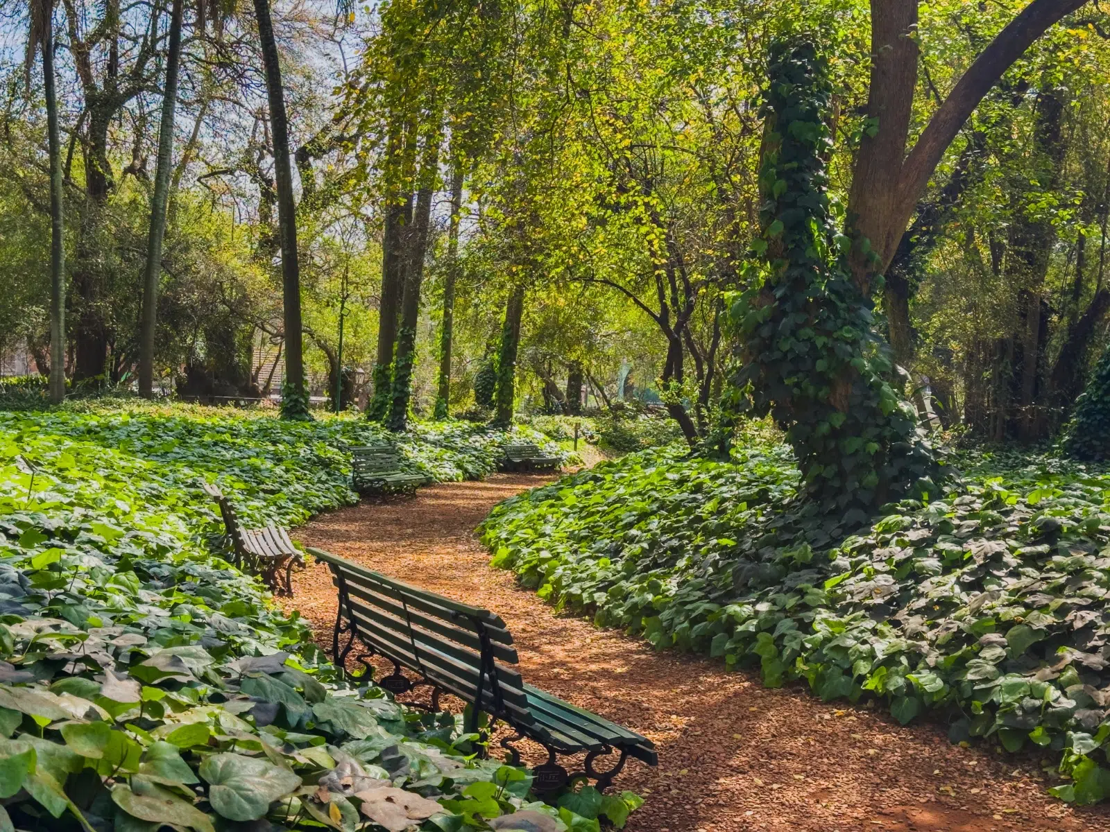 From libraries to parks and museums: CABA activated 250 climate shelters for residents to escape the heat, where they are located