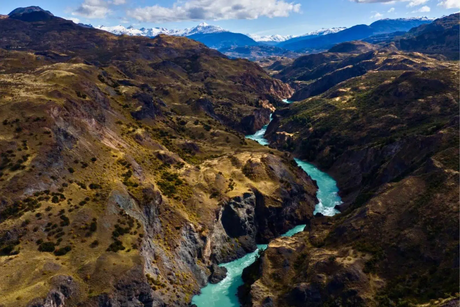“Rewilding Patagonia” já está disponível no YouTube