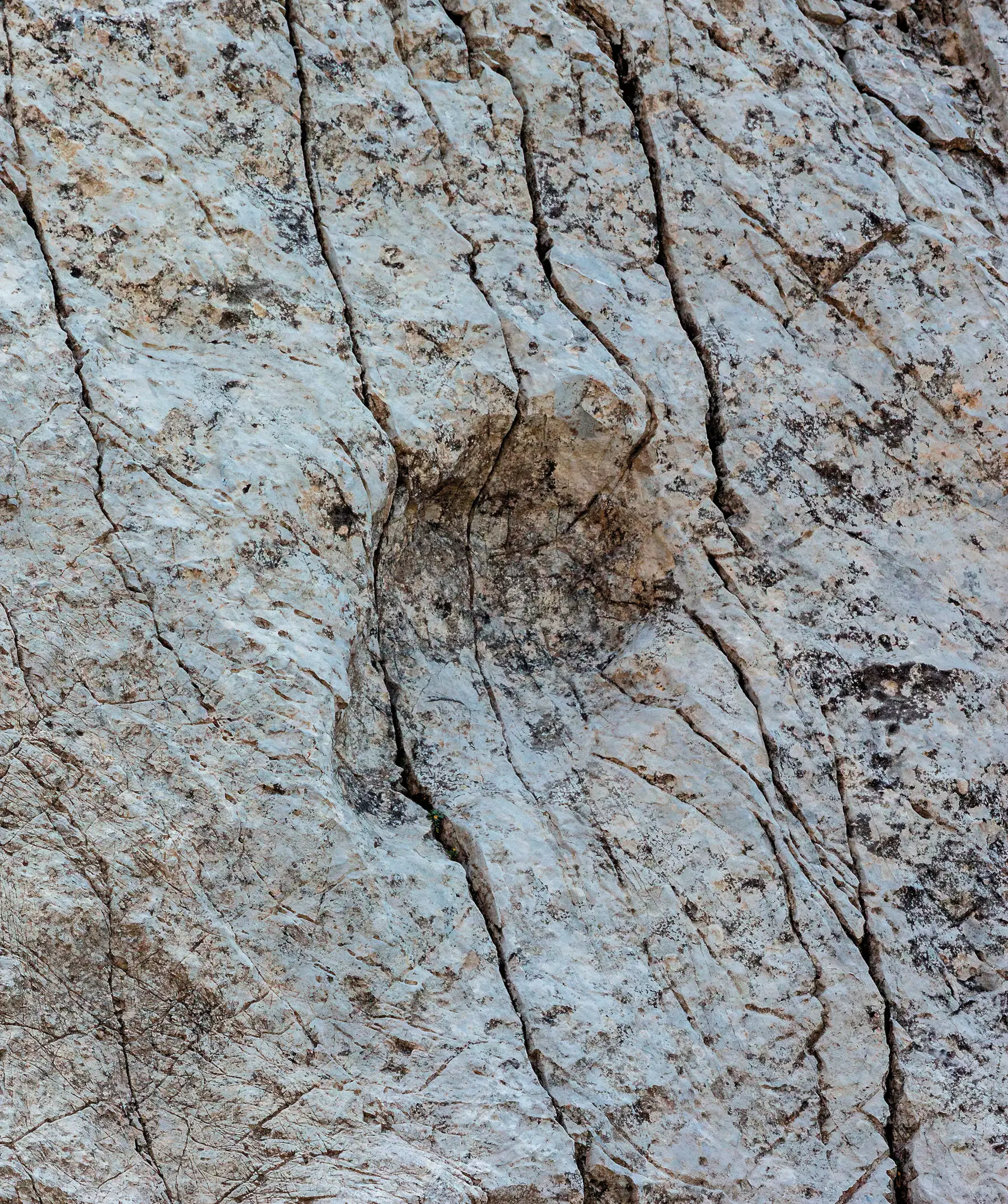 Die italienischen Alpen enthüllen einen ausgedehnten Korridor von Dinosaurierfährten, die 210 Millionen Jahre alt sind. Foto: Finestre sull'Arte.