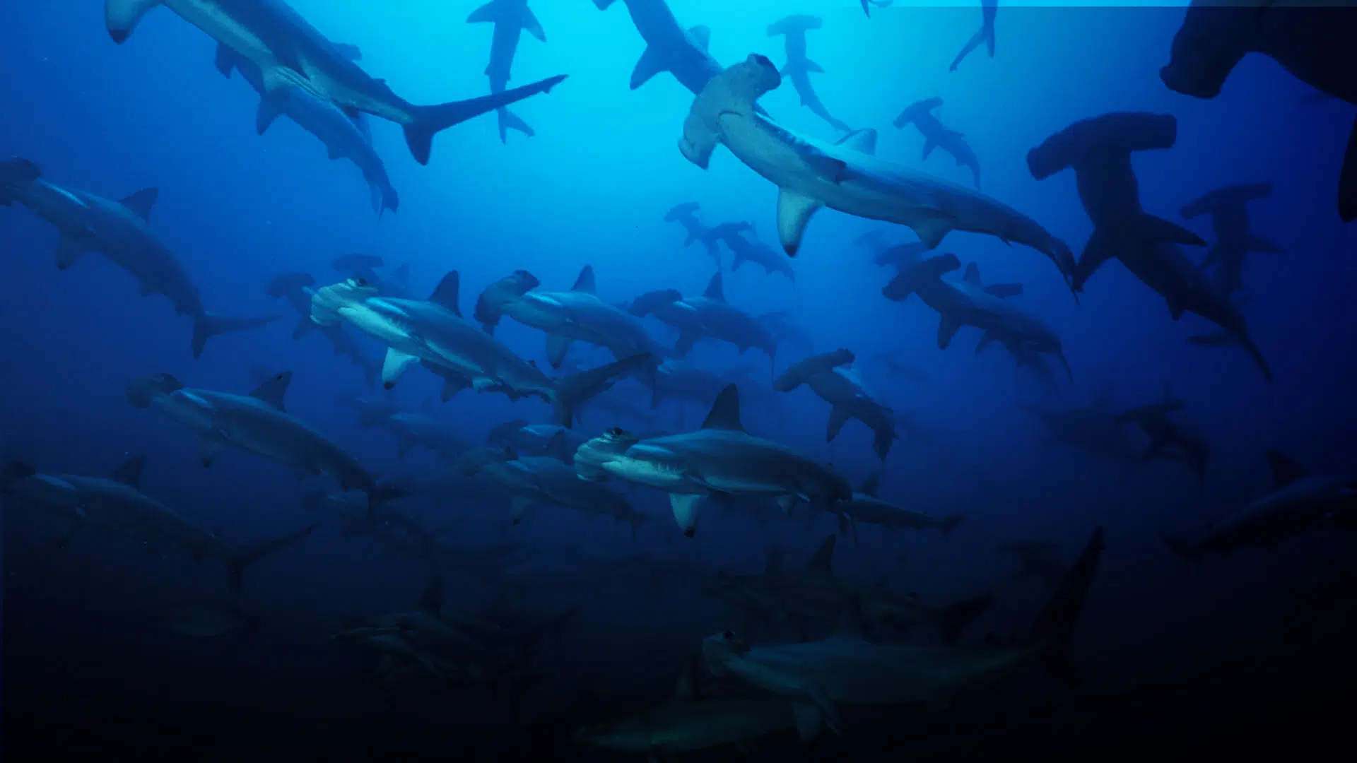 marine areas