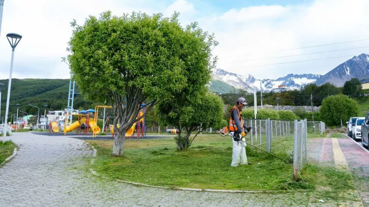 Ushuaia fördert die Wiederherstellung öffentlicher Räume und verstärkt seine Umweltstrategie mit mehr Grünflächen. Foto: Sur54.com.
