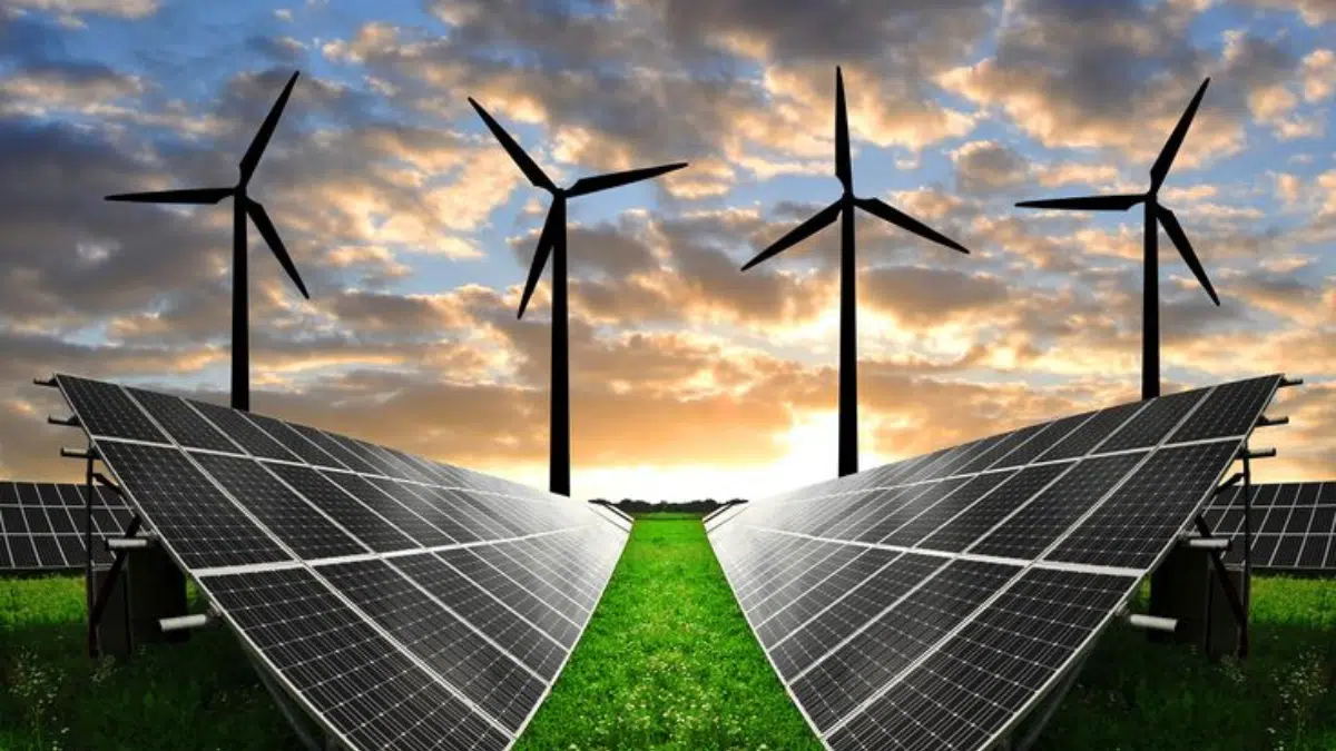 2025 Environmental Milestones: Positive Advances in Clean Energy, Conservation, and Indigenous Rights