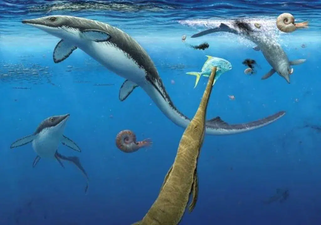 Une découverte dans l'Arctique montre comment la vie marine s'est rétablie après la plus grande extinction de l'histoire. Photo : Meteored.