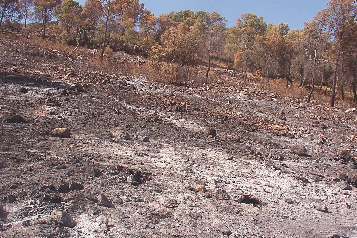 incendios forestales